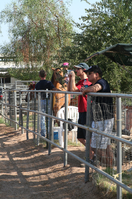 IMG_3734